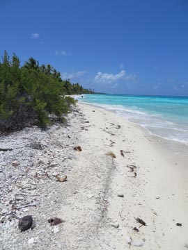 plage atoll fakarava