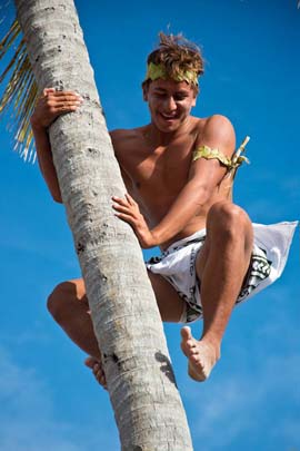le grimper de cocotiers polynesie